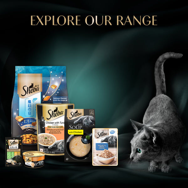 Sheba Soup with Chicken Adult Cat Wet Food