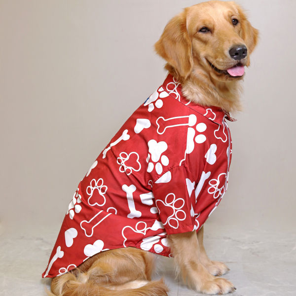15buttons Paws-tive Love Shirt for Dogs