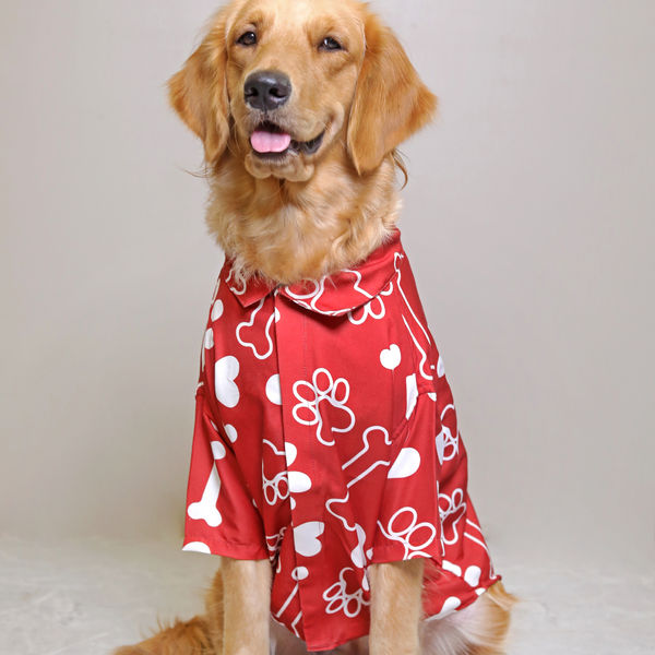 15buttons Paws-tive Love Shirt for Dogs