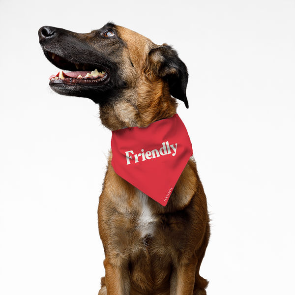Pawsindia Friendly Pet Bandana for Dogs and Cats