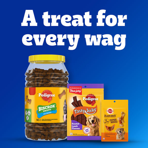 Pedigree Dentastix Oral Care for Adult (Medium Breed of 10 to 25 kg) Dog Treats