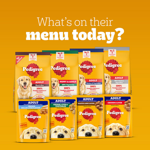 Pedigree Chicken and Liver Chunks in Gravy Adult Dog Wet Food (130g)