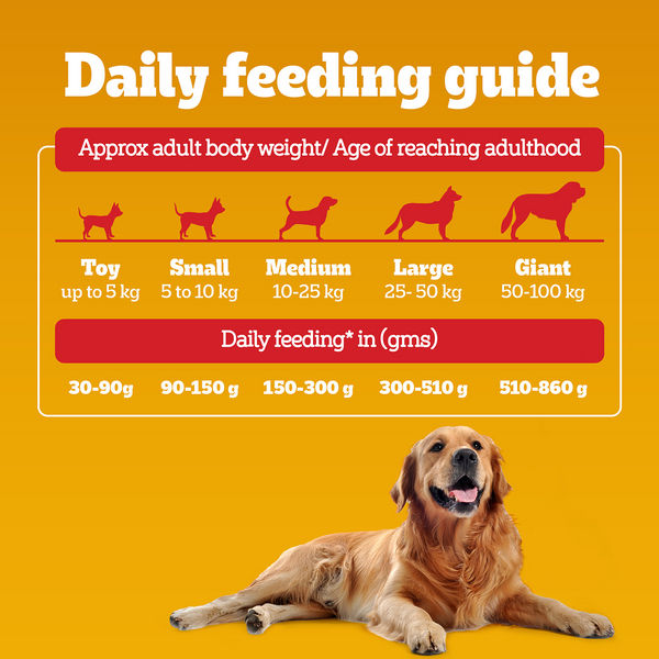Pedigree Chicken, Egg and Rice Adult Dog Dry Food