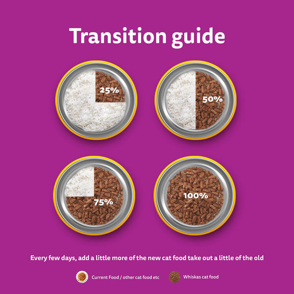 Whiskas Chicken in Gravy Meal Kitten Cat Wet Food