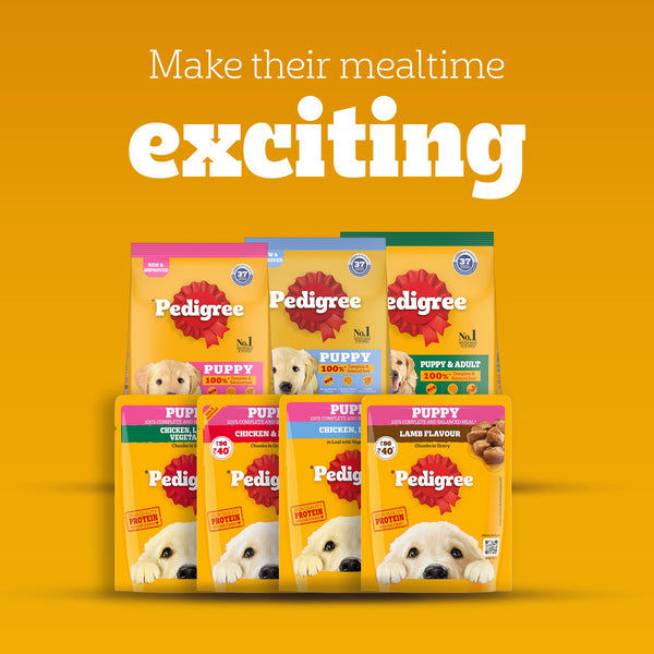 Pedigree Chicken & Liver Chunks in Gravy Puppy Wet Dog Food