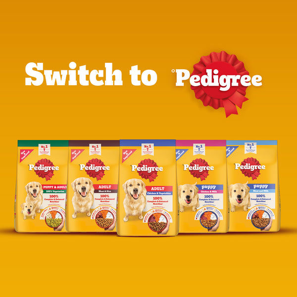 Pedigree Chicken and Vegetables Adult Dog Dry Food