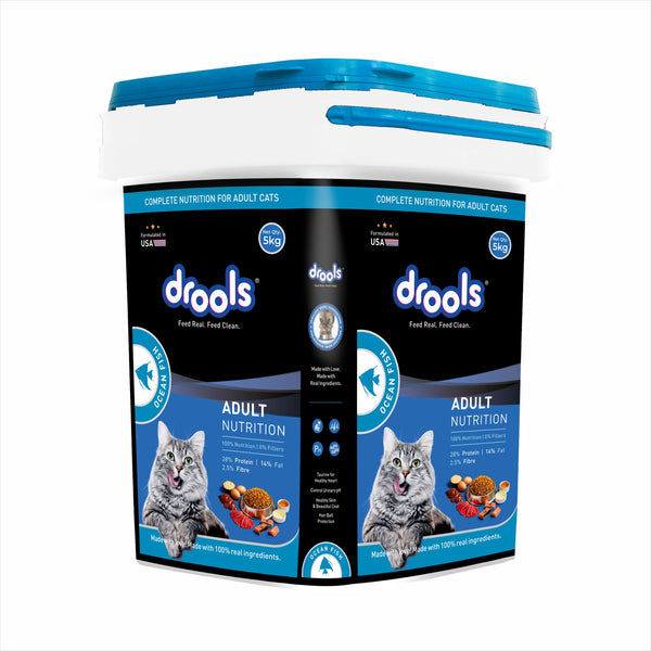 Drools Ocean Fish Adult Cat Dry Food