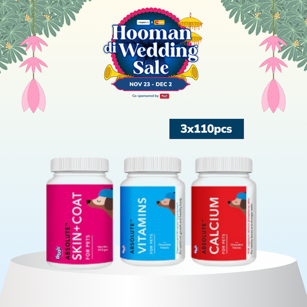 Drools Absolute Calcium, Vitamin and Skin & Coat Dog Supplement Tablets Combo
