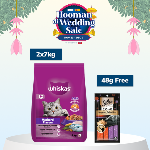 Whiskas Mackerel Flavour Adult Cat Dry Food