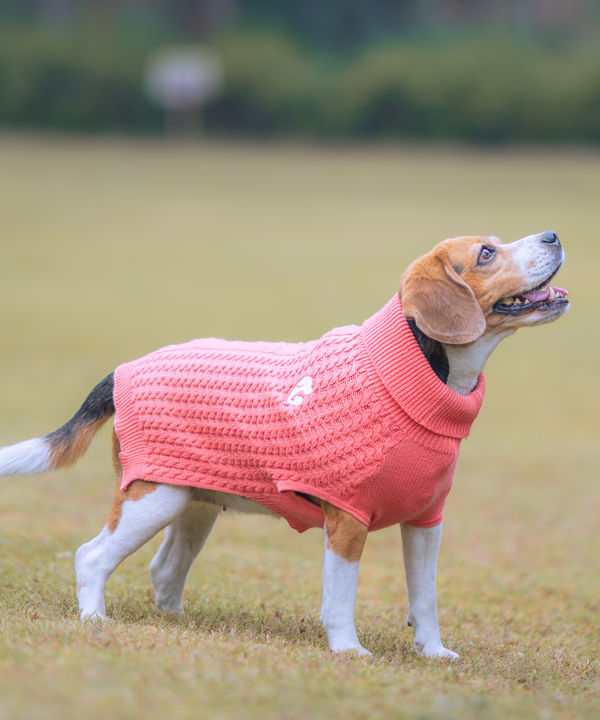 Pet Set Go Cable Knit Sweater for Dogs (Peach)