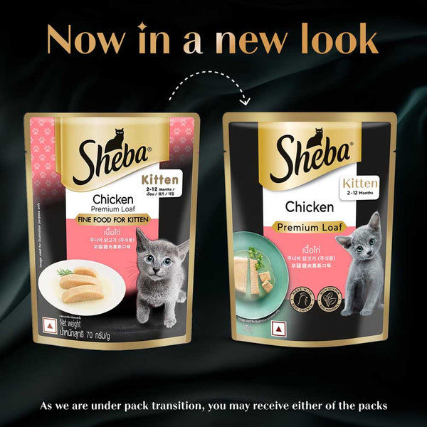 Sheba Chicken Loaf Rich Premium Kitten (2 to 12 Months) Fine Cat Wet Food