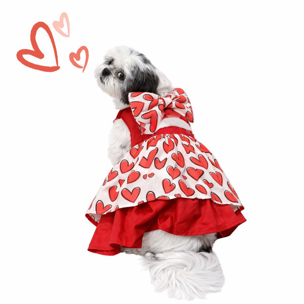Dogobow Hearty Dress for Dogs (Red)
