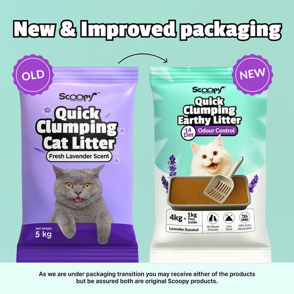 Scoopy Quick Clumping Lavender Scented Litter with Skatrs Litter Tray and Scooper for Cats