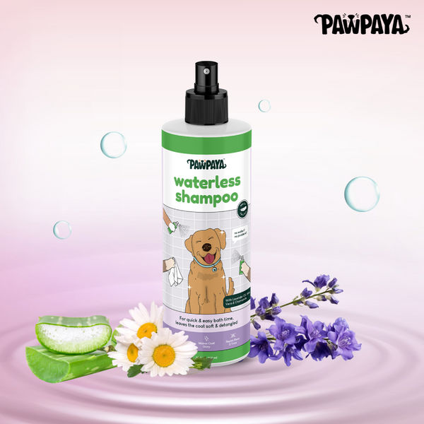 Pawpaya Waterless Shampoo for Dogs