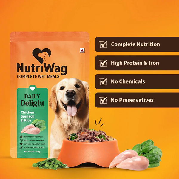 NutriWag Daily Delight Chicken, Spinach & Rice Dog Wet Food