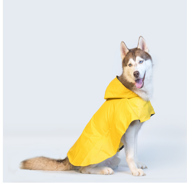 Pet Set Go Cape Style Raincoat for Dogs (Yellow)