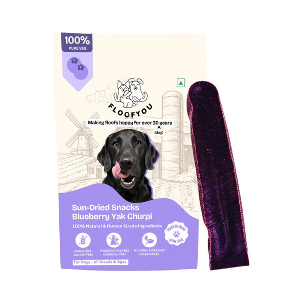 Floofyou Sun Dried Pure Veg Blueberry Yak Chew Bars Dental Dog Treats