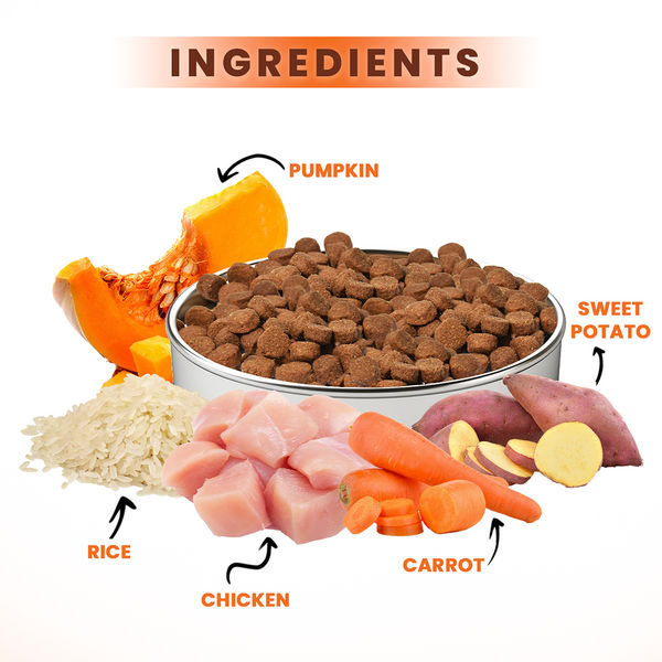 Lickicious Premium Chicken and Vegetable Adult Dog Dry Food