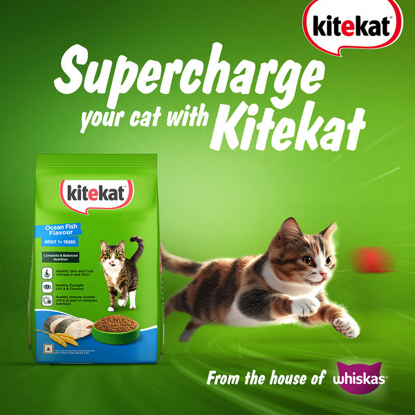Kitekat Ocean Fish Adult Cat Dry Food
