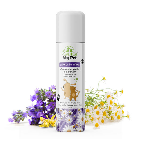 Groom My Pet Calm Collar Nights Air Freshener for House with Dogs and Cats