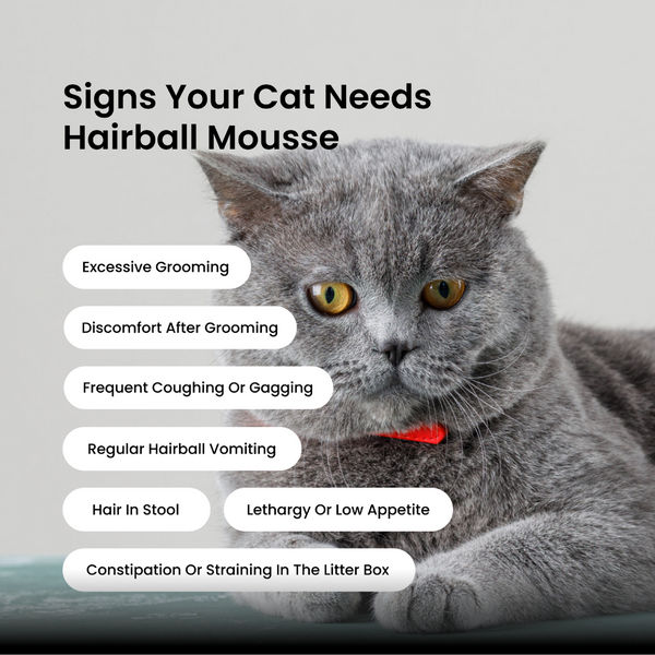 Absolut Pet Hair Ball Relief Creamy Supplement for Cat