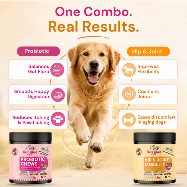 TailsAlive Hip & Joint, Probiotic Chicken Chews Comfort & Mobility Combo for Senior Dogs