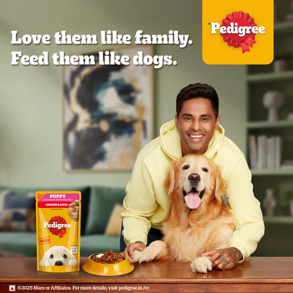 Pedigree Chicken and Liver Chunks in Gravy Pouch Puppy Dog Wet Food (130g)