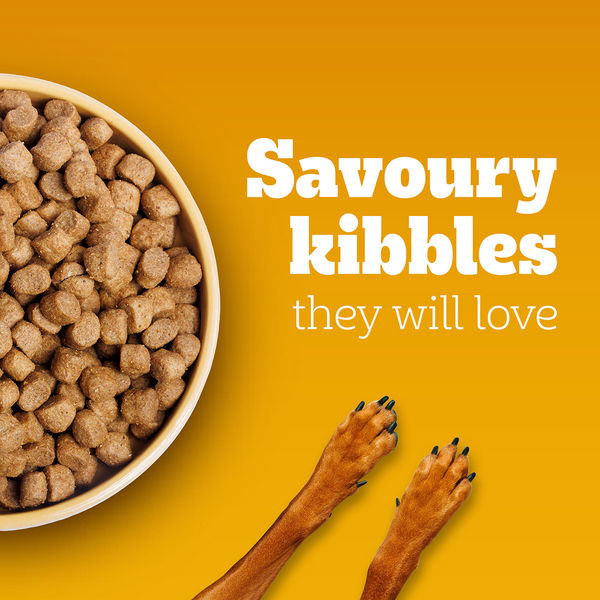 Pedigree Chicken and Vegetables Adult Dog Dry Food