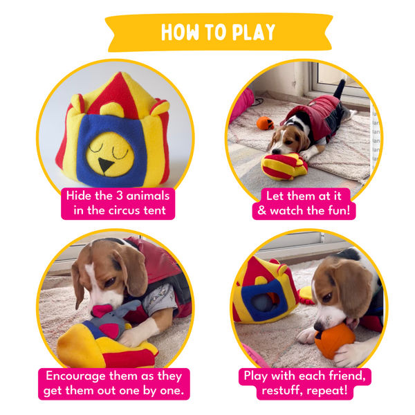 For The Love Of Dog Hide and Seek Squeaky Circus Toy for Dogs