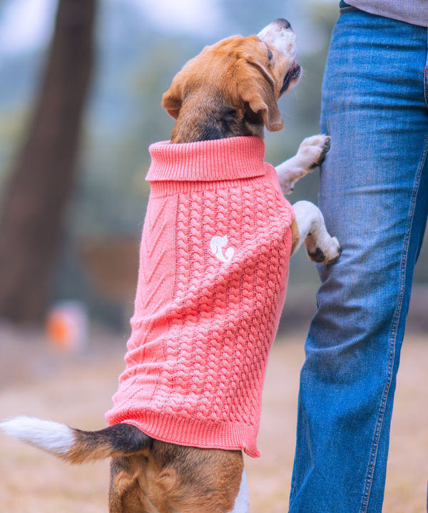 Pet Set Go Cable Knit Sweater for Dogs (Peach)