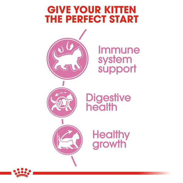 Royal Canin Kitten Cat Dry Food