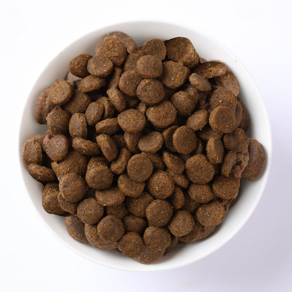 Farmina N&D Tropical Selection Chicken Adult Dog Mini Dry Food
