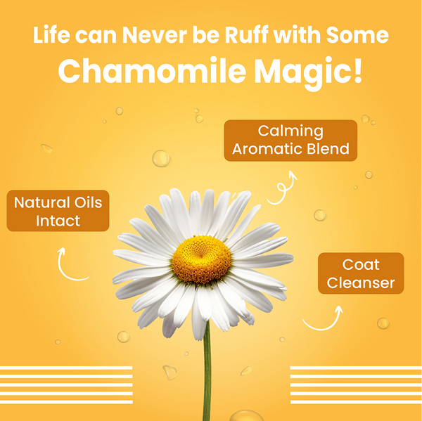 Bark Out Loud Soft Coat Puppy Shampoo for Dogs