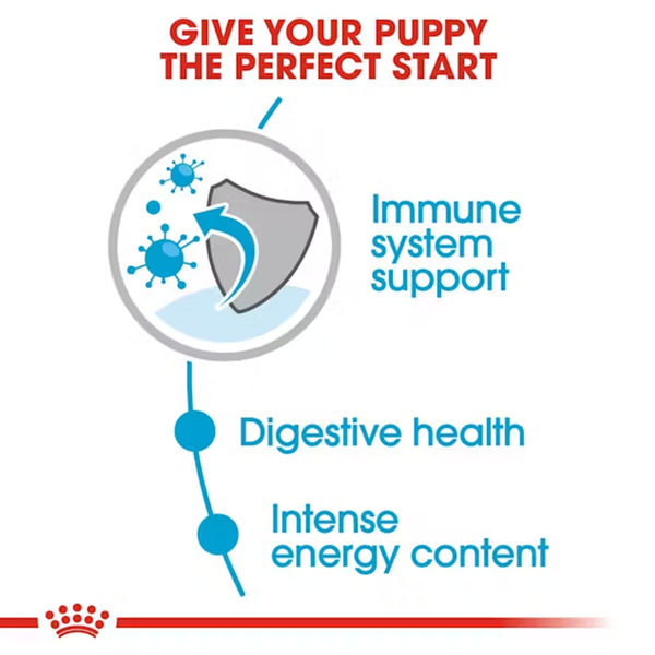 Royal Canin Mini Puppy Dog Wet Food
