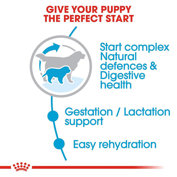 Royal Canin Royal Canin Giant Starter, Mother & Babydog Dog Dry Food