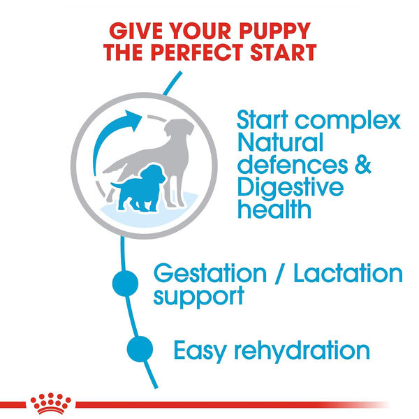 Royal Canin Medium Starter, Mother & Babydog Dry Food