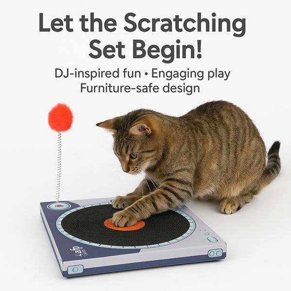 Talking Dog Club Vynil Scratcher Toy for Cats (Black)