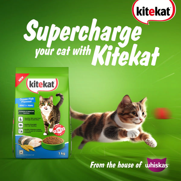 Kitekat Ocean Fish Adult Cat Dry Food