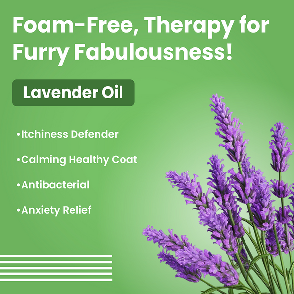 Bark Out Loud No Mess Waterless Shampoo for Dogs