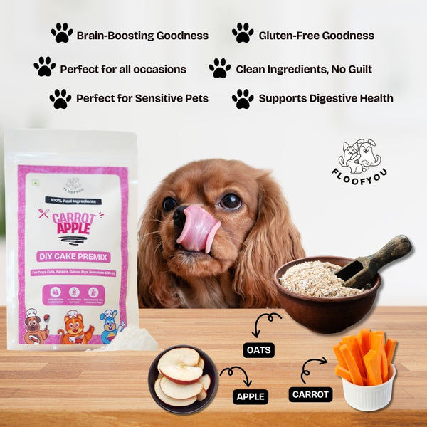 Floofyou Home Made Carrot Apple Birthday Cake Mix for Dogs and Cats