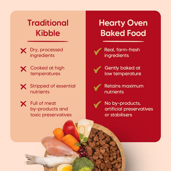 HUFT Hearty Oven Baked Chicken & Fish with Superfoods Puppy Dog Dry Food