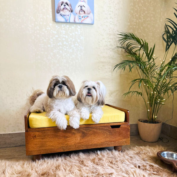FurryLiving Hibachi Bed with Storage for Dogs (Honey/Yellow Cushion)