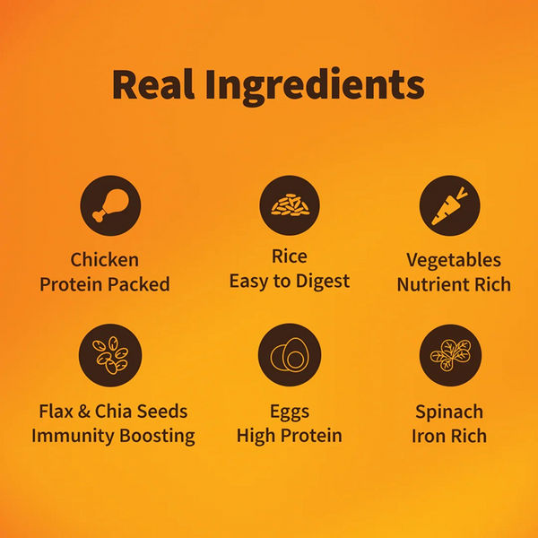 NutriWag Daily Delight Chicken, Spinach & Rice Dog Wet Food