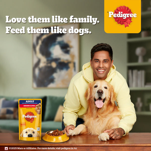 Pedigree Chicken and Liver Chunks in Gravy Adult Dog Wet Food (130g)