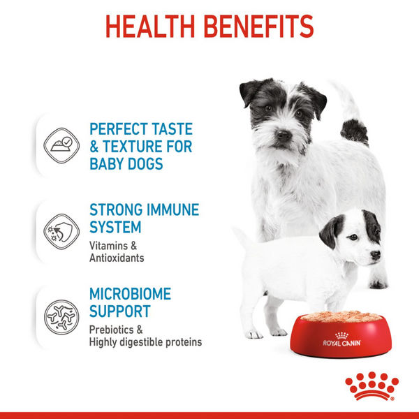 Royal Canin Mousse Mother and Baby Starter Dog Wet Food