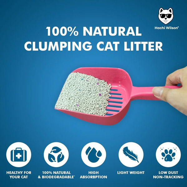 Hachi Wilson Scented Natural Bentonite White Sand Cat Litter