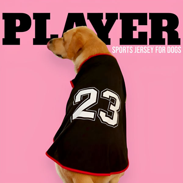 Talking Dog Club Player Ltd Edition Sports Jersey for Dogs (Black)