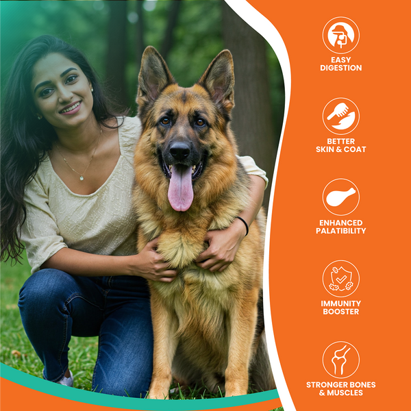 Lickicious Optima Chicken and Vegetable Adult Dog Dry Food