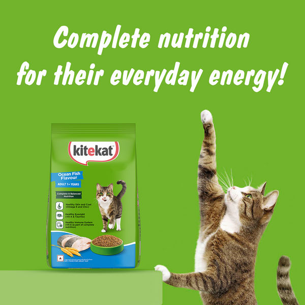 Kitekat Ocean Fish Adult Cat Dry Food