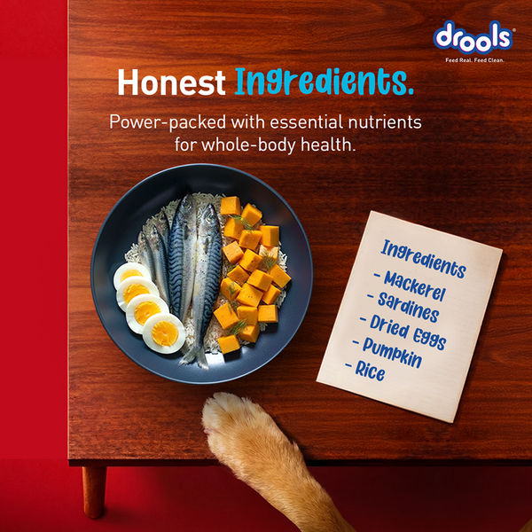 Drools Fish and Rice Adult Dog Dry Food